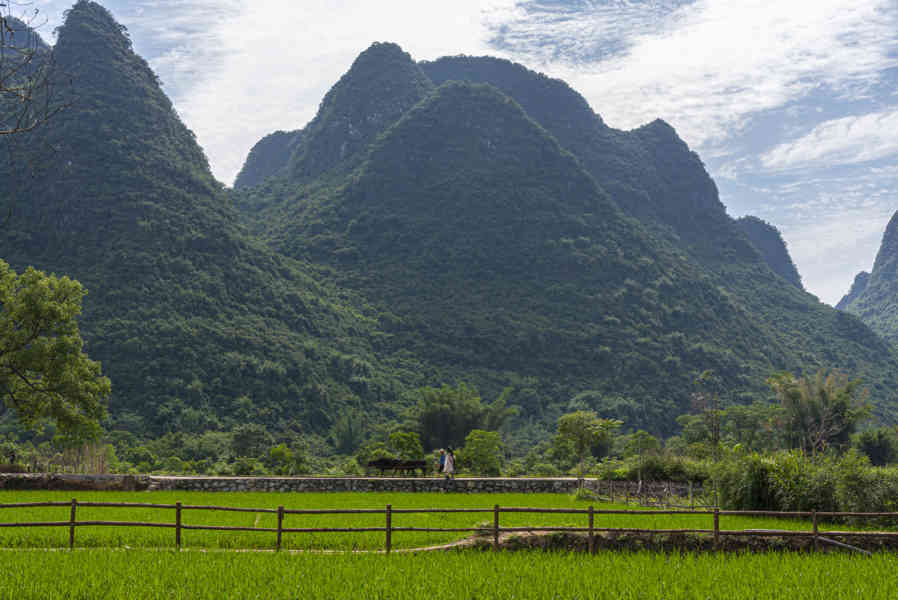 China - Yangshuo 22 - arrozales.jpg